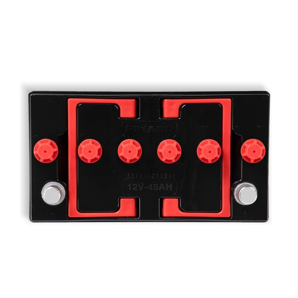 Bình Ắc Quy Đồng Nai NS60LS - 12V - 45Ah - Ảnh 2