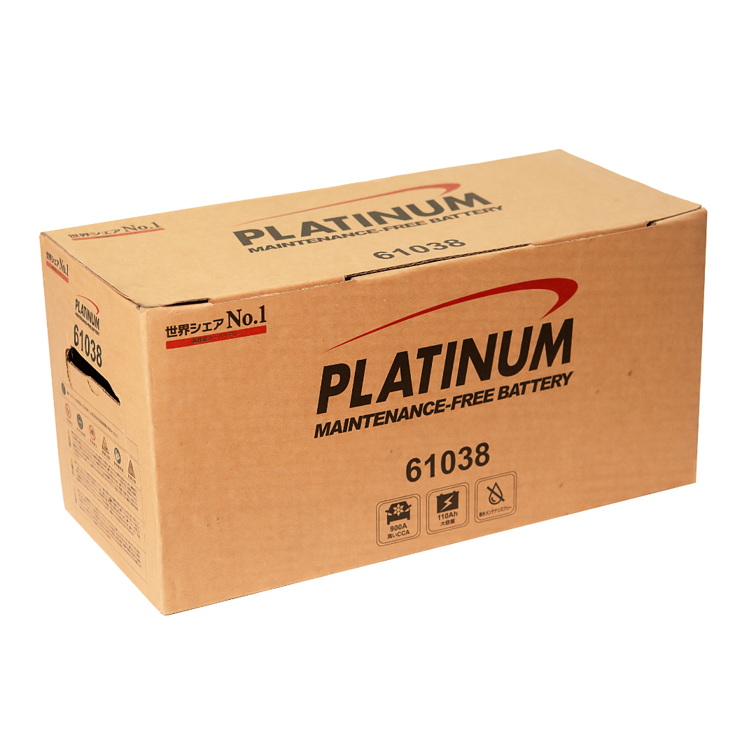 Ắc quy Platinum 60044 (100 AH; 810 CCA) - Ảnh 2