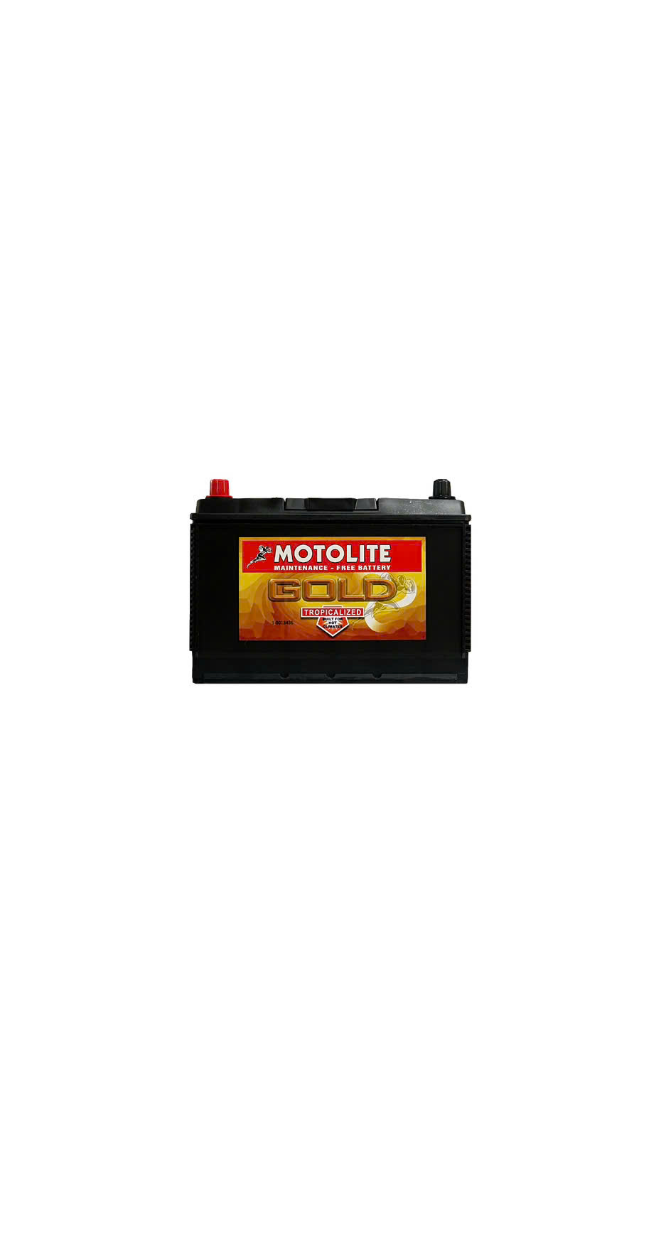 ẮC QUY MOTOLITE 105D31R